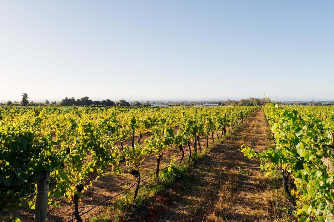 305 In The Vines Villa แฮฟล็อค นอร์ท ภายนอก รูปภาพ